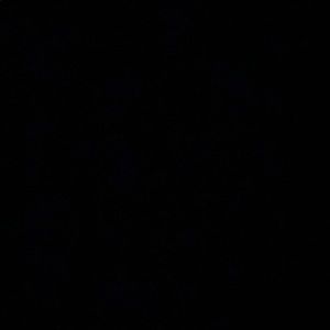 Meet your Posher, Kylesha